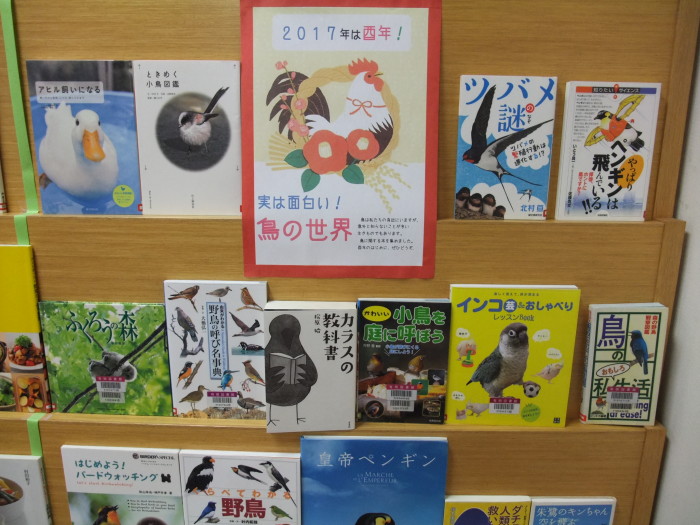 特集コーナー（一般）① 実は面白い！鳥の世界