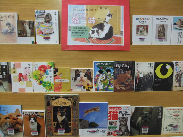 特集コーナー（一般）①　とことん！猫三昧