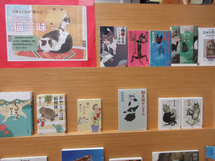 特集コーナー（一般）①とことん！猫三昧