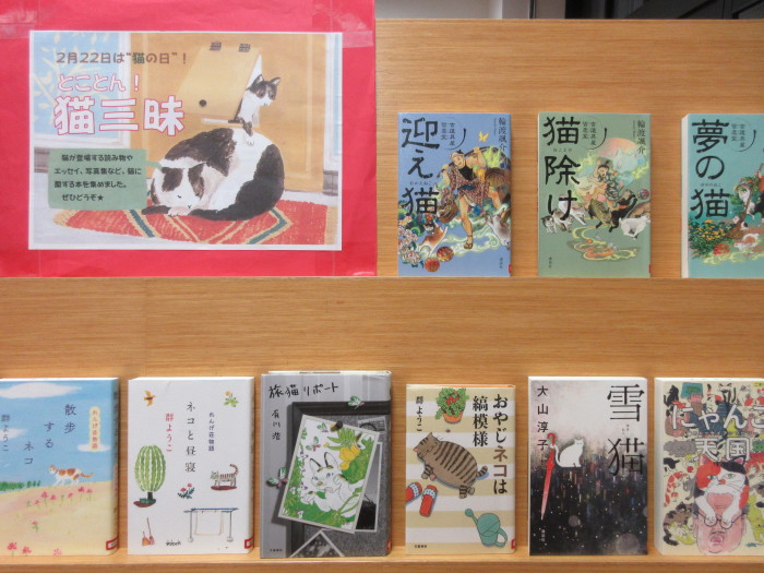特集コーナー（一般）①とことん！猫三昧