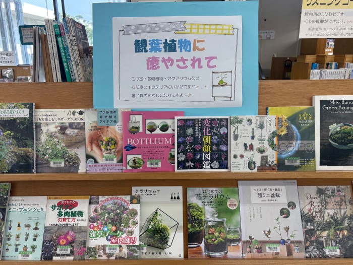〈７月の一般コーナー➁〉「観葉植物に癒されて」　<July General Corner 2> “Be Healed by Houseplants”