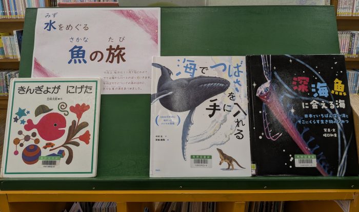 〈９月の児童コーナー③〉「水をめぐる魚の旅」<September Children's Corner ③> “The Journey of Fish Through Water”